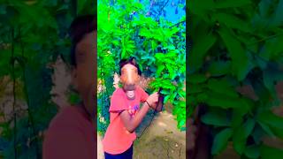 Lakdi ka Kathi 🥳 DJ remix 🤪 short 😋 viral YouTube 😳 funny [upl. by Salomon253]