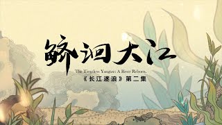 【纪录片长江逐浪】EP02 鲚洄大江：中国最顶级的鱼，曾经卖到45005000元一斤！ 长江刀鱼 [upl. by Marozik]