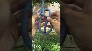 Amazing Figure 8 Knot figure8knot knot knottying [upl. by Burnett]