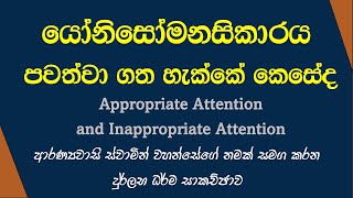 යෝනිසෝ මනසිකාරය  ආරණ්‍යවාසි ස්වාමින් වහන්සේගේ නමක් සමග කරන දුර්ලභ ධර්ම සාකච්ඡාව [upl. by Mok]