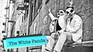 White Panda  Ice Cream Woman White Town amp Dorrough mashup remix [upl. by Paryavi230]