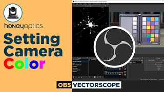 How to set Camera Color using a Vectorscope  HoneyOptics [upl. by Handy]