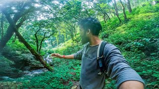 Exploring a Hidden Forest amp Secret Campsite [upl. by Ingar975]