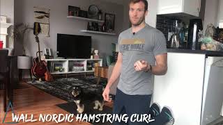 Nordic Hamstring Curl at Home [upl. by Jauch676]