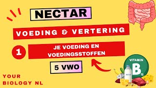 5 vwo  Voeding amp Vertering  1  Voeding en voedingsstoffen [upl. by Idnor]