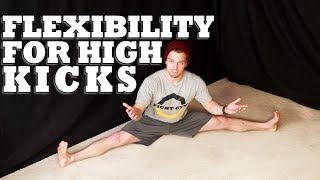 How to Increase Flexibility for High Kicks  Martial Arts Stretching [upl. by Liatnahs]