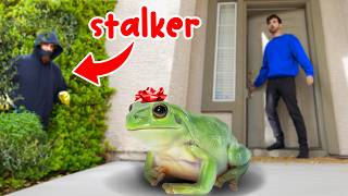 MY STALKER Sent Me A FROG CAUGHT ON CAMERA [upl. by Aratahs]