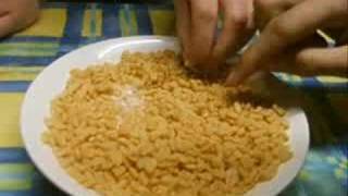 Parody of the Kellogs Rice Krispies Advert [upl. by Jaycee42]