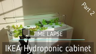 IKEA Hydroponic cabinet  Time Lapse Part 2 of 2 [upl. by Aracot]