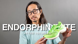 Saucony Endorphin Elite After 100 Miles [upl. by Lorolla]