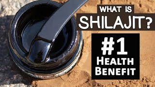 1 Health Benefit of Shilajit and Top 3 Uses [upl. by Iaras]