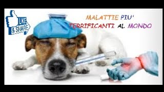 MALATTIE PIU TERRIFICANTI AL MONDO [upl. by Llemaj]