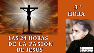 TERCERA 3 HORA DE LAS 24 HORAS DE LA PASION DE JESUS [upl. by Cartwright]