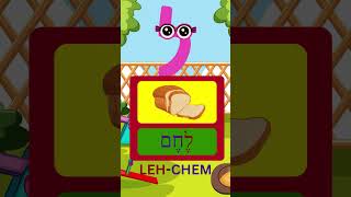 Learn Your AlefBets hebrew viral israel kids fun learning song music letters alphabet [upl. by Hgielrebma]