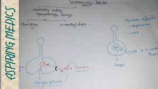 Centrally acting sympatholytic agents Vascular pharmacology [upl. by Narine766]