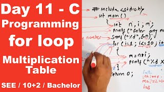 Multiplication Table in C  Program example of for loop  Day 11  Readersnepal [upl. by Baird]