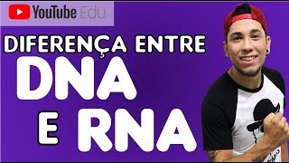 Aula 29 Diferenças entre DNA e RNA  Biologia com Patrick Gomes [upl. by Moreta]