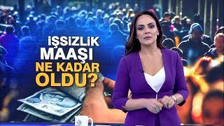 İşsizlik maaşı ne kadar oldu [upl. by Alister]