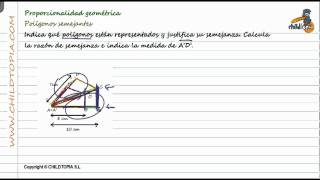 Proporcionalidad geométrica Polígonos semejantes [upl. by Hertz362]