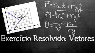 Exercício Resolvido  Vetores Módulo vetores unitários e inclinação [upl. by Aiselad]