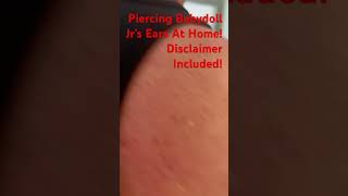 Piercing Babydoll Jr’s Ears At HomeGodearringpiercingdoctorhomecampingrv [upl. by Airottiv]