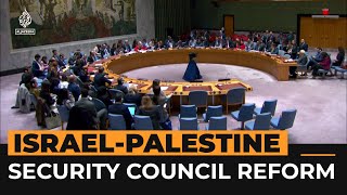 Calls to reform UN Security Council after US vetoes Gaza ceasefire  Al Jazeera Newsfeed [upl. by Celeste]