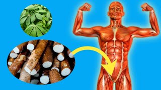 Eating Cassava Every Day Will Do This To Your Body [upl. by Liborio]