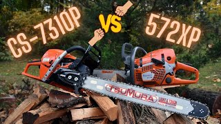 HUSQVARNA 572xp VS ECHO CS 7310P [upl. by Uhp]