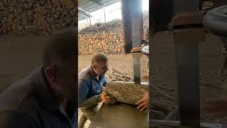 Best Sawmill Firewood woodworking [upl. by Nettirb]