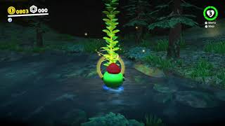 Wooded Kingdom  Moon 33 A Treasure Made from Coins  Super Mario Odyssey [upl. by Inus]