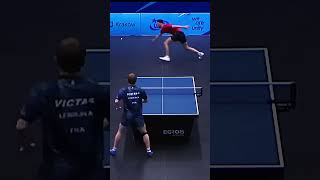 🏓Tiago Apolonia vs Alexis Lebrun A Crazy Rally Ends with an Explosive Smash💥shorts viralvideos [upl. by Vlad]