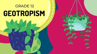 GEOTROPISM  Easy to Understand [upl. by Naoh]