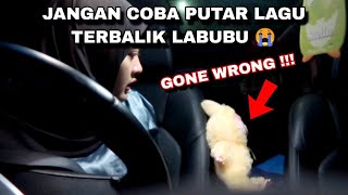 JANGAN PUTAR LAGU LABUBU TERBALIK DI TENGAH MALAM  😱 [upl. by Hoebart538]