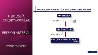 Fisiología Cardiovascular Presión arterial  Primera parte [upl. by Deraj865]