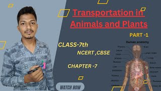 Transportation in Animals And Plants  Class7  NCERT  CBSE PART 1 Sahil sir [upl. by Sherburn]