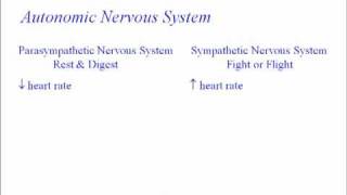 ECG Autonomic Nervous System affect [upl. by Adnovay]