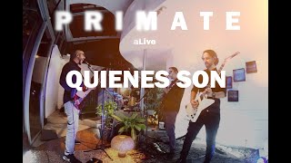 Primate  Quienes Son En Vivo [upl. by Doersten]