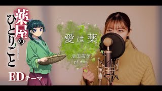 【薬屋のひとりごと ED テーマ】wacci  愛は薬 Covered by Hanami Masuda [upl. by Bertila655]