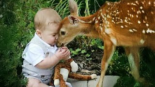 Little Friends Have Melting Moments With Animals Best Animal Video 2024 [upl. by Haugen]