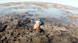 Finding Amazing Sea Creatures In Tide Pools [upl. by Miof Mela]