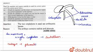 Assertion  The two cotyledons in seed are embryonic leaves Reason  The embryo [upl. by Jacky]