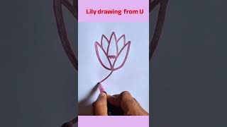 How to draw lily From Letter U Step by step art shorts drawing [upl. by Rehtaef]