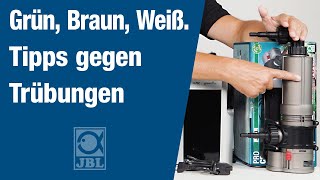 JBL TV 46 Freie Sicht im Aquarium  Trübes Wasser klar bekommen [upl. by Eatton942]