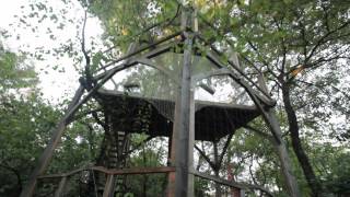 Gauthié Lakeside Treehouse  Sawdays Canopy amp Stars  Glamping in France [upl. by Nitsraek431]