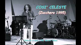 COSI CELESTE Zucchero 1995 LIVE chitarra e voce [upl. by Jerrine362]