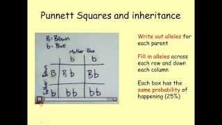 Genes amp Inheritance GCSE Combined Science Biology [upl. by Alleacim]