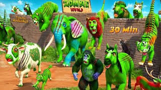 Zombie Animal Farm Diorama Epic Rescue Adventures Compilation  Wild amp Farm Animals [upl. by Etheline993]