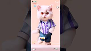 Cat dance Cute kitten ❤️‍🩹 catlovecats cats catvideos kittenscatlover princesscat kitten [upl. by Lori836]