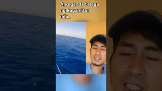 Maganda to gamitin sa pangawel buhaymandaragat remixvidio fishing seafood reactionvideo [upl. by Atnoled]