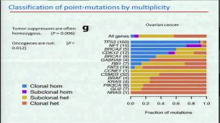 Absolute Quantification of Somatic DNA Alterations in Human Cancer  Scott Carter [upl. by Elaynad]